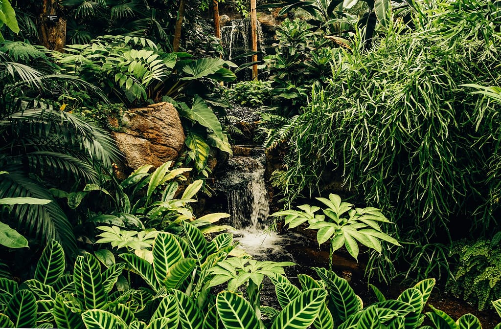 Misty Waterfall Cascading Through an Emerald Rainforest Canyon