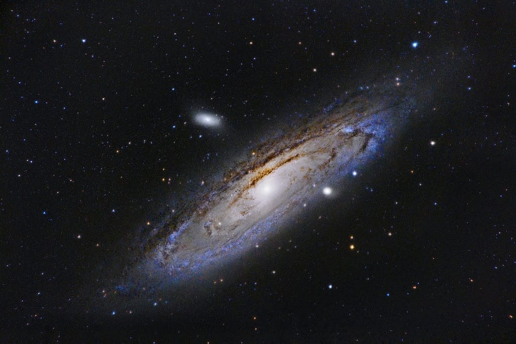 Andromeda Galaxy Rising Over a Dark Pine Forest Ridge