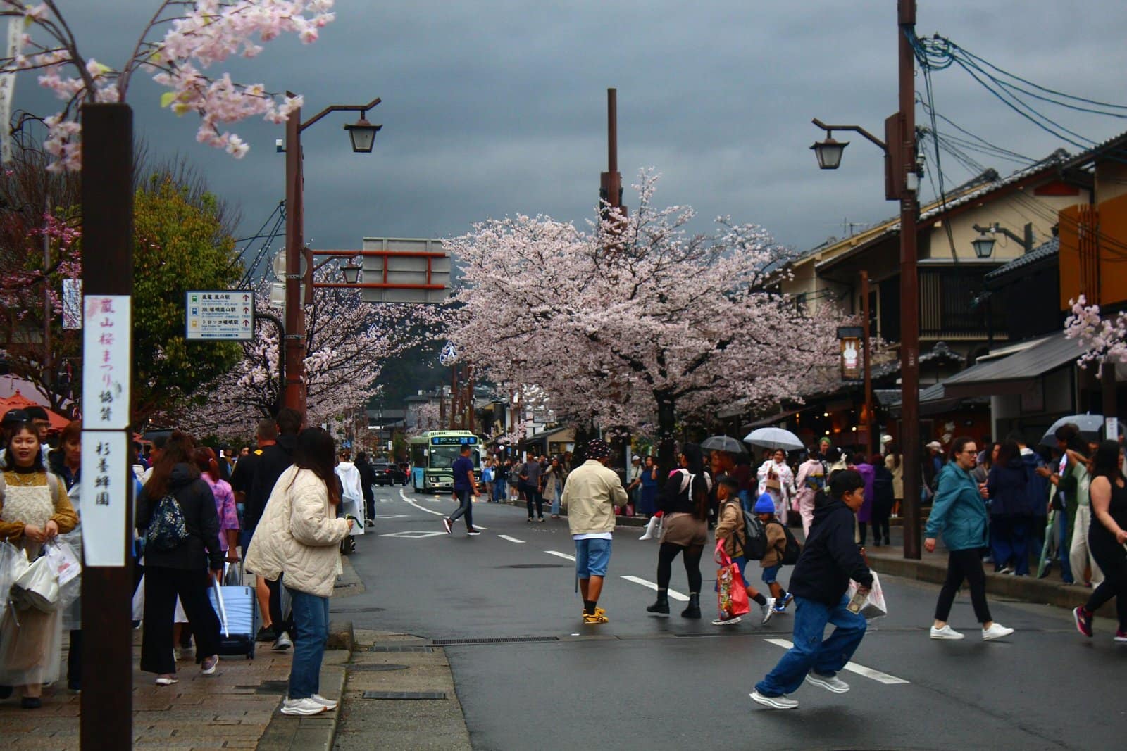 Kyoto Old Town Street in Cherry Blossom Season