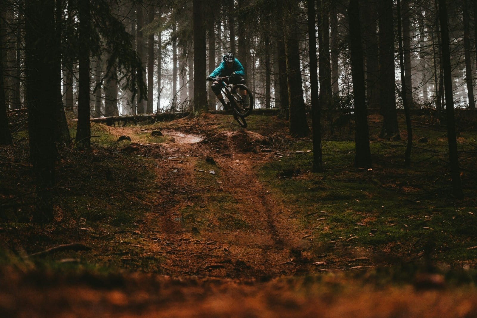 Mountain Biker Racing Down Forest Trail
