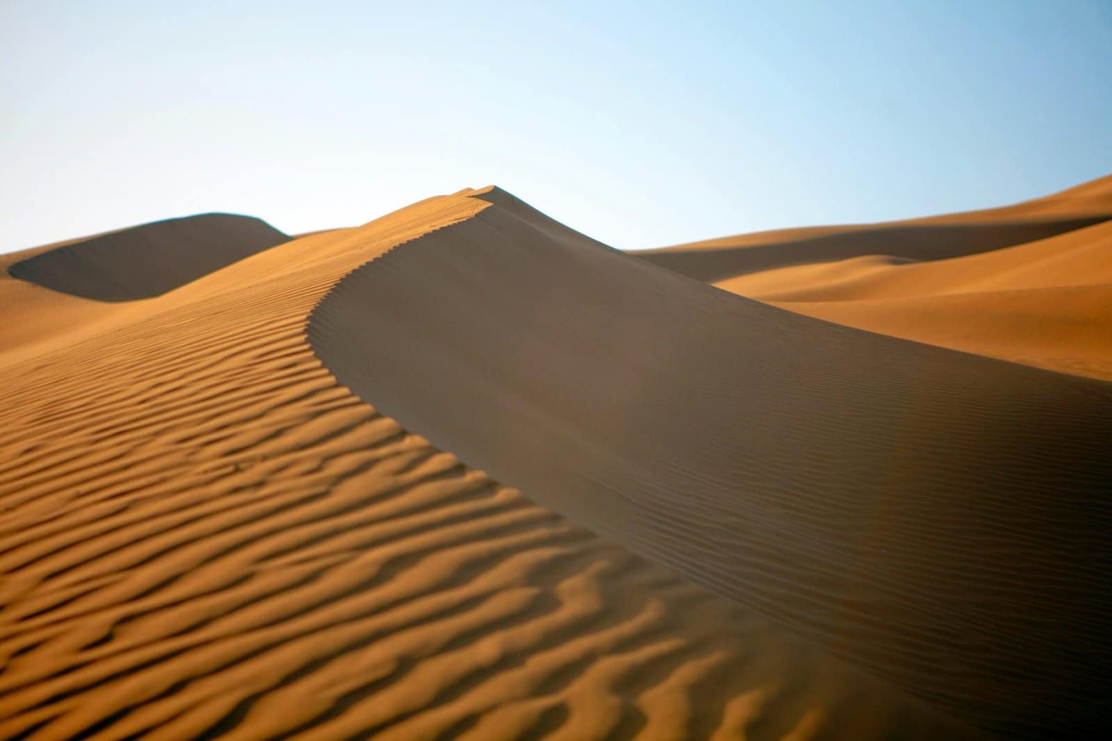 Desert Sand Dunes Glowing at Golden Hour
