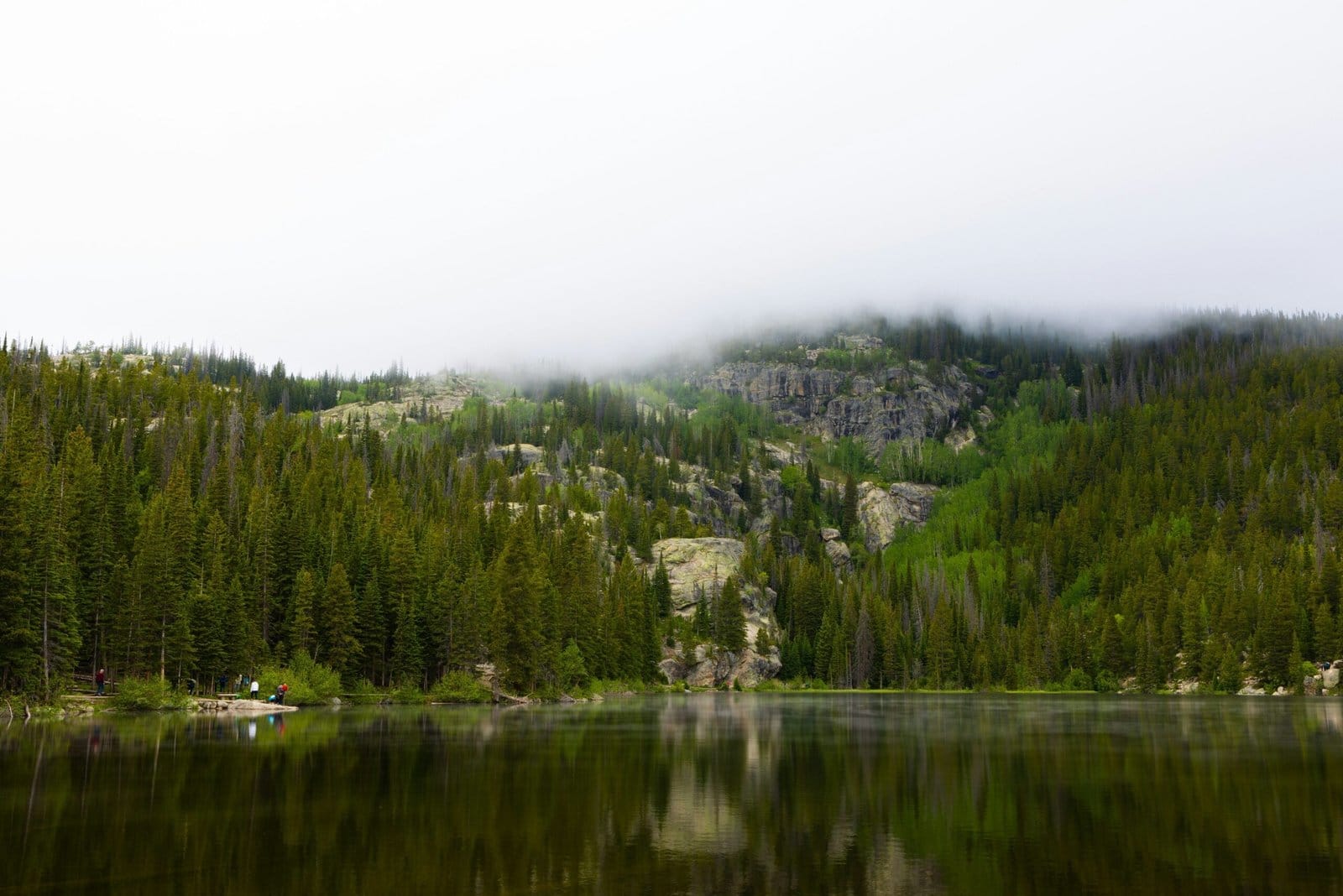 Misty Mountain Lake Reflecting Pine Trees at Dawn