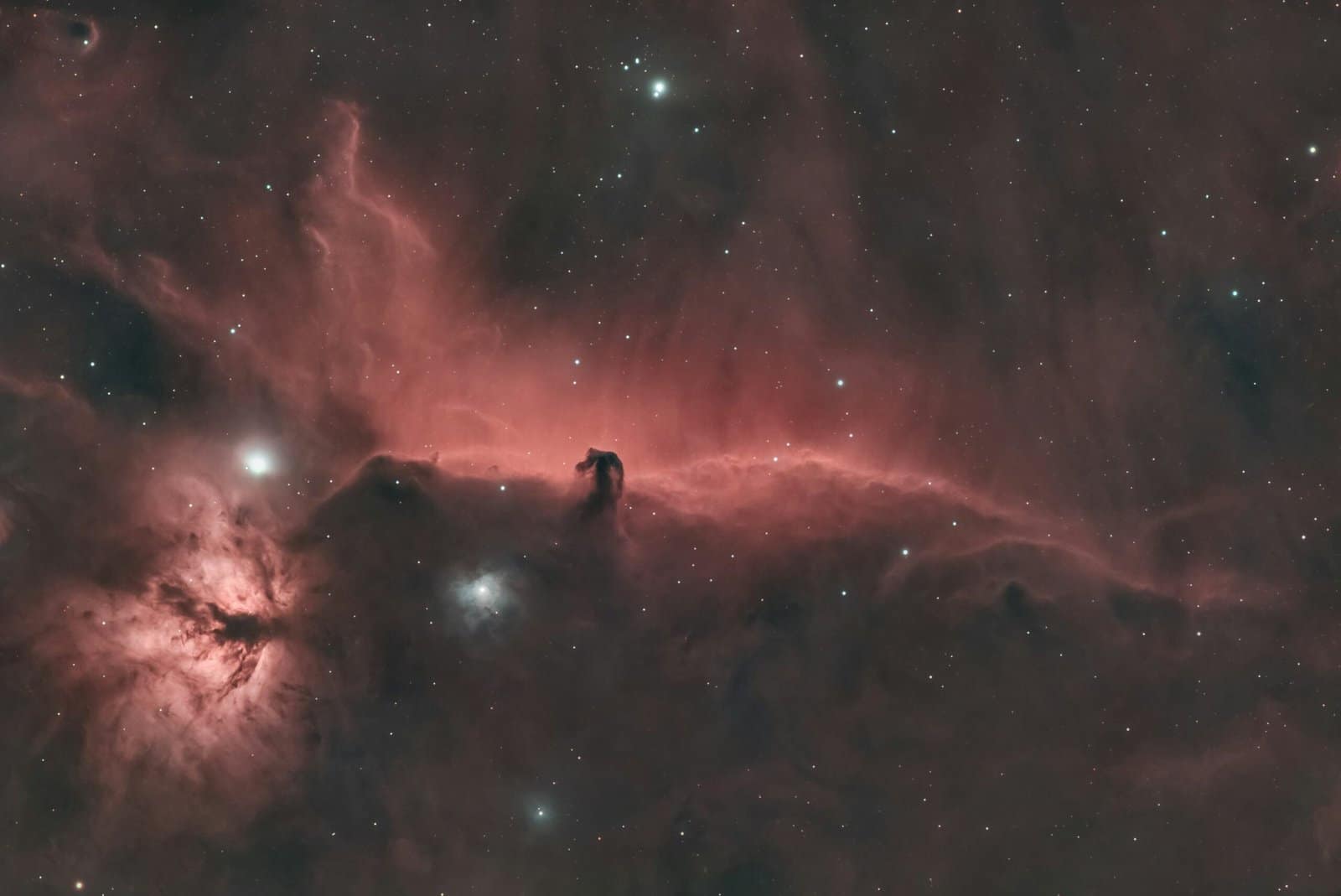 Horsehead Nebula in a Starry Cosmos