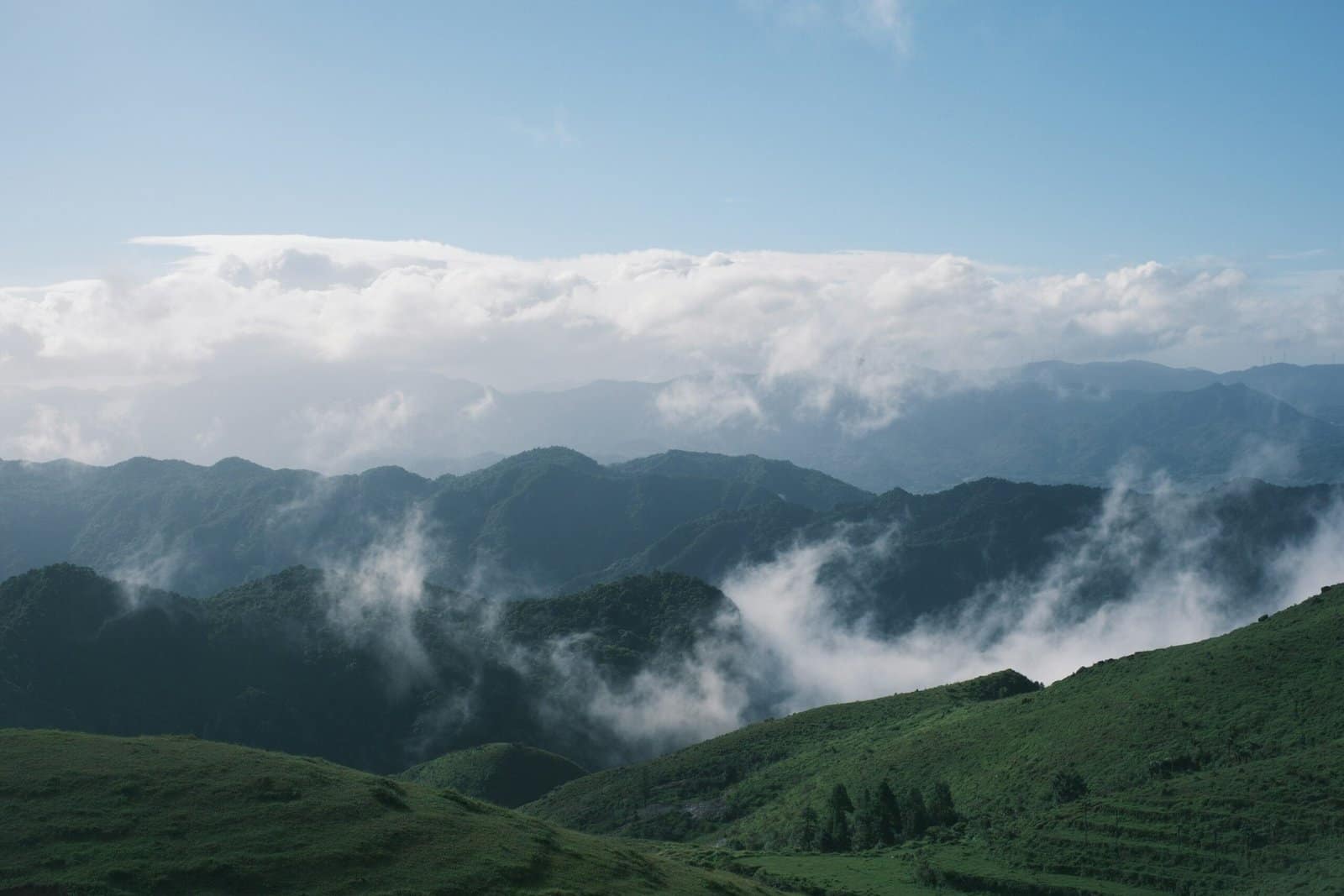 Misty Valley Green Hills Rolling at Dawn