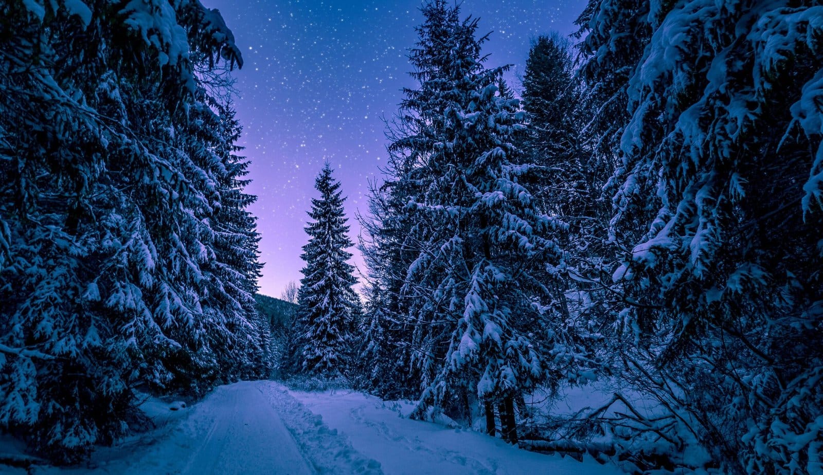 Tanjiro Kamado in Snowy Forest at Night