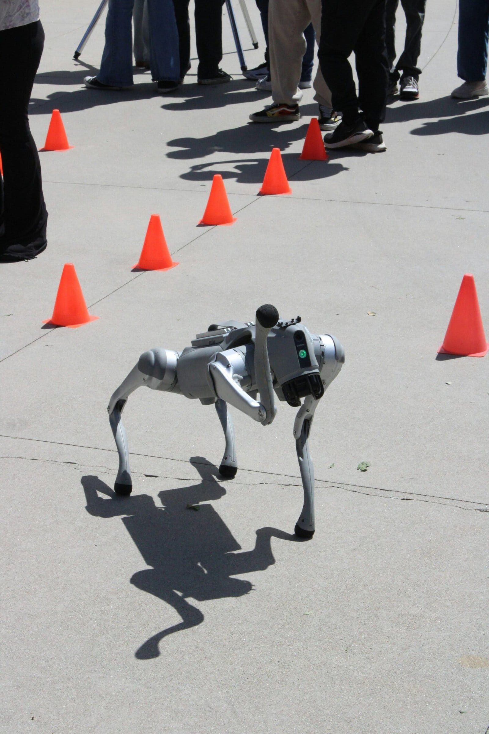 Robot Dog Walking Through a Modern Smart Home