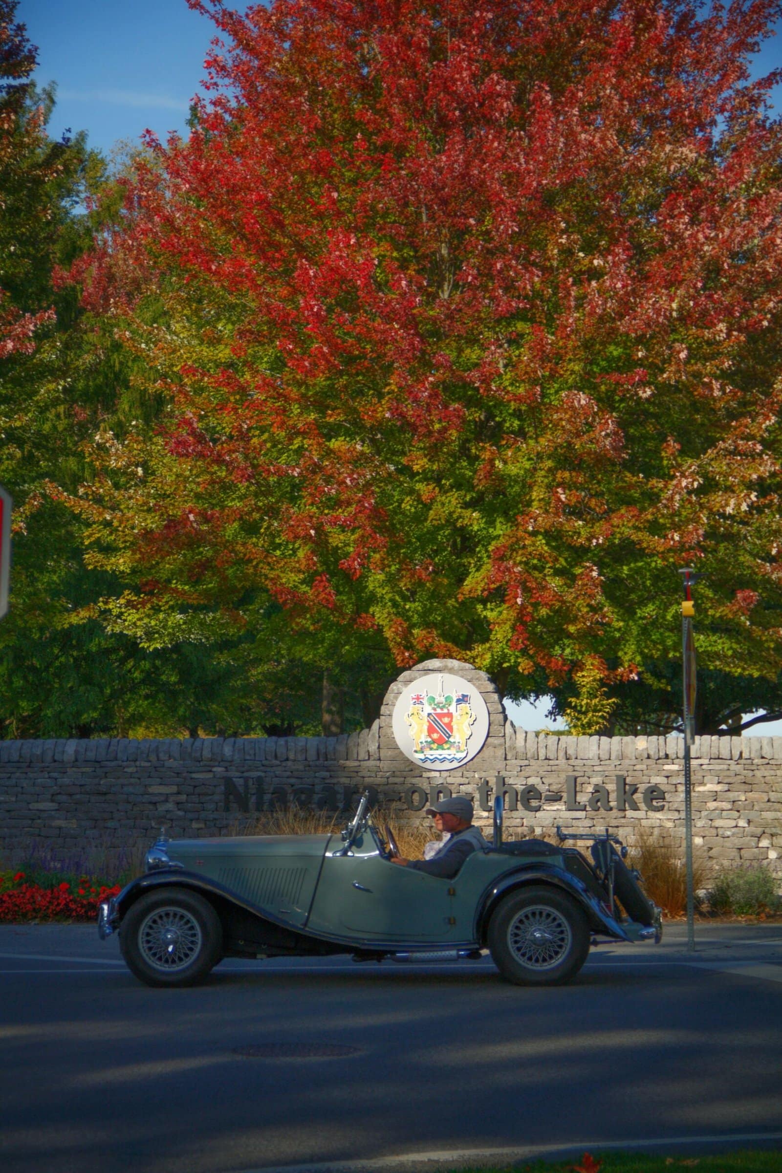 Classic Convertible Cruising Through Autumn Forest Road