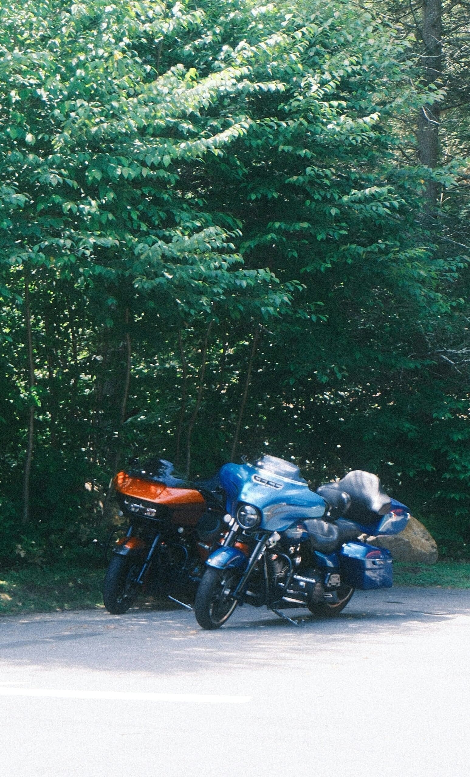 Blue Cruiser Motorcycle Riding Through Forest Road
